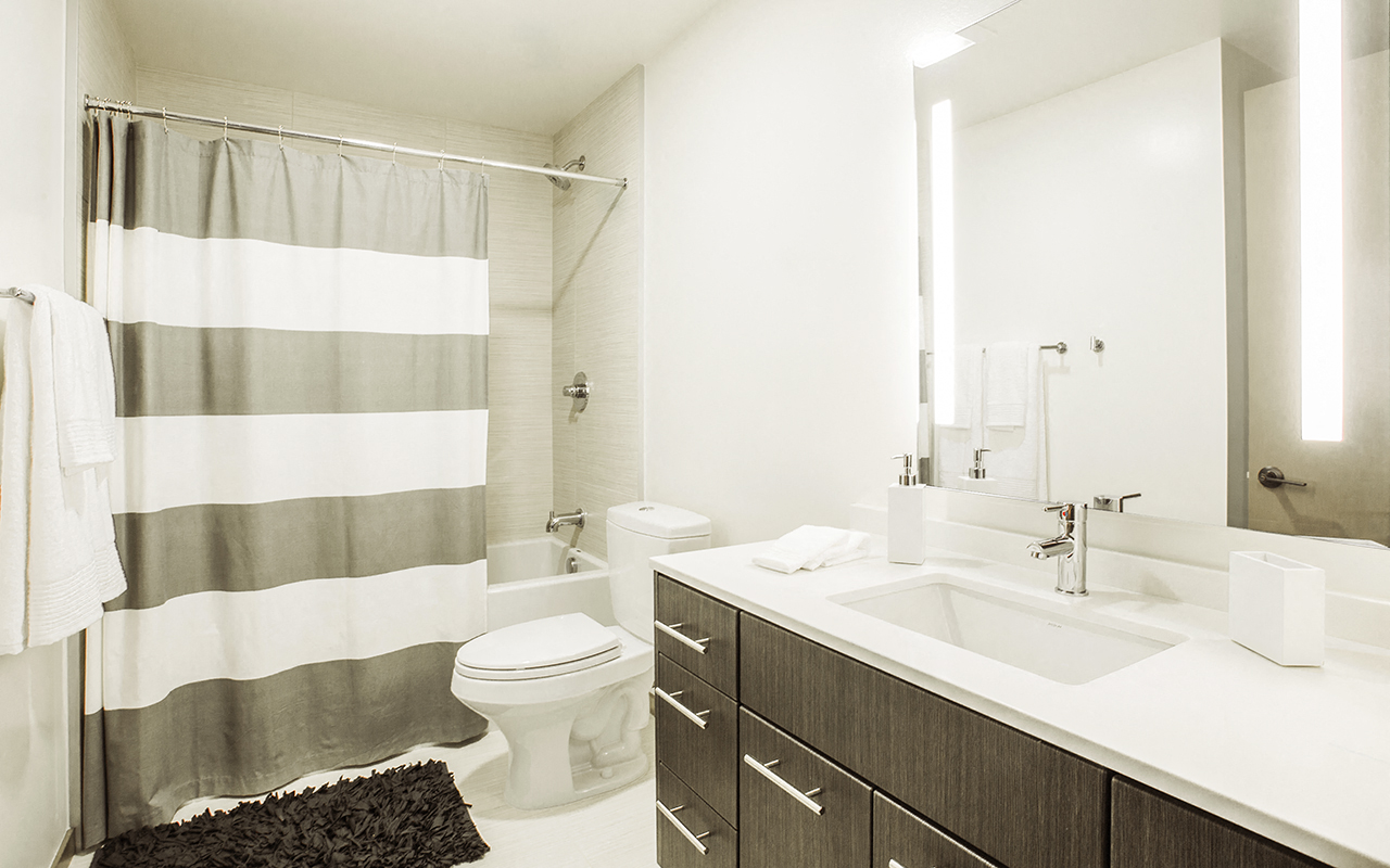 Block 17 Apartments High-Rise Bathroom Sink and Shower